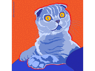 Elwood Scottish Fold Cat Illustration cats graphic illustration primary colors