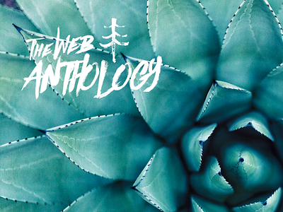 The Web Anthology 16/04