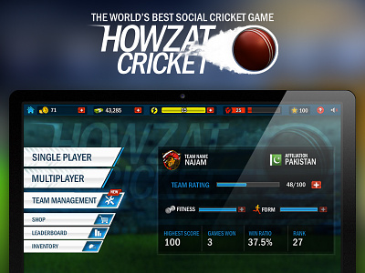 Howzat Cricket cricket design facebook fun game interactive multiplayer online social ui ux