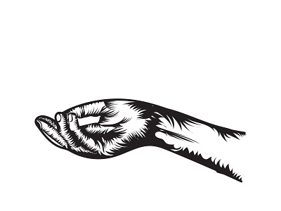 Hand Vector