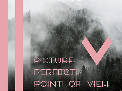 Picture Perfect Point of View bold design graphic lines nature pink trees typography