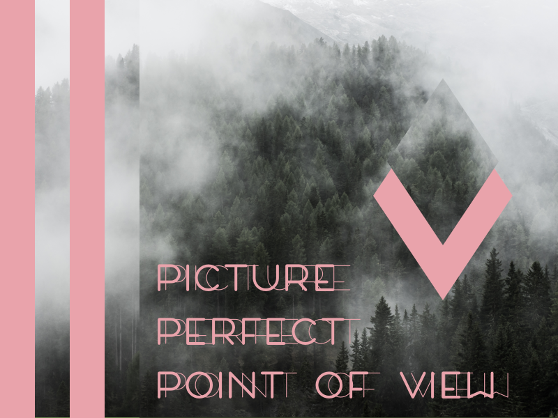 Picture Perfect Point of View trees bold lines design graphic typography nature pink