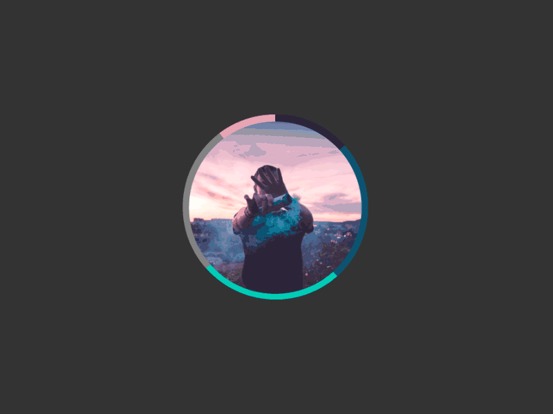 User Progress Bar Hover Effect grey gif ux experience user interaction minimal design flat stats profile