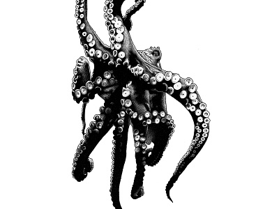 Octopus blackandwhite dot dotwork drawing illustration octopus pieuvre poulpe staedler