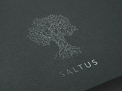 Saltus arbre branding handrawn leaves logo saltus sustainable sustainable development tree