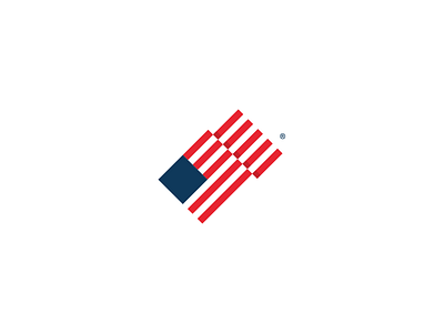 US Equity v.00 brand branding equity flag icon logo mark usa