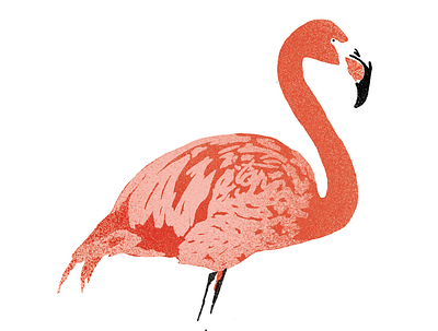 TGR Flamingo design flamingo halftone illustration minimal poster screenprint silkscreen spraypaint streetart