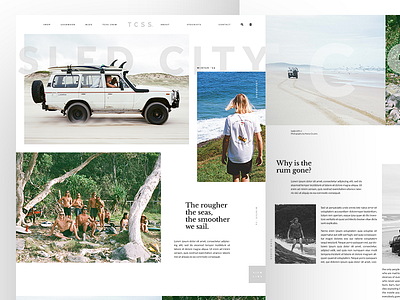 TCSS Winter 16 Lookbook branding design fashion homepage layout re design surf typography webdesign website