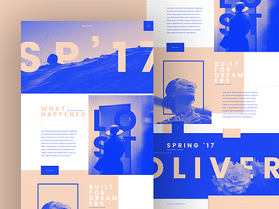 SP '17 branding design homepage landingpage layout re design typography ui ux webdesign website