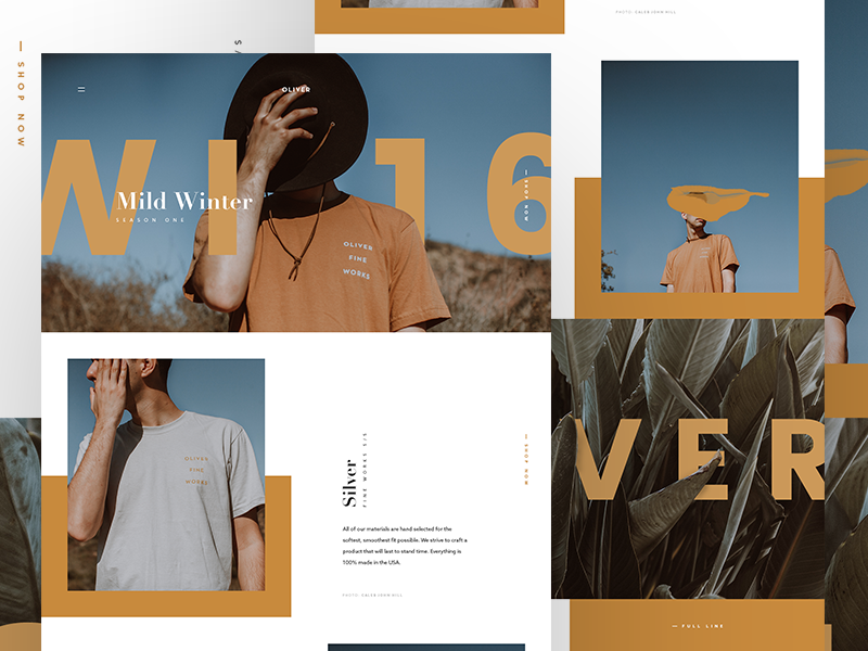 Mild Winter by Tom Rich on Dribbble