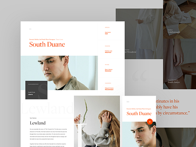 South Duane branding design homepage layout mobile re design typography ui ux webdesign website