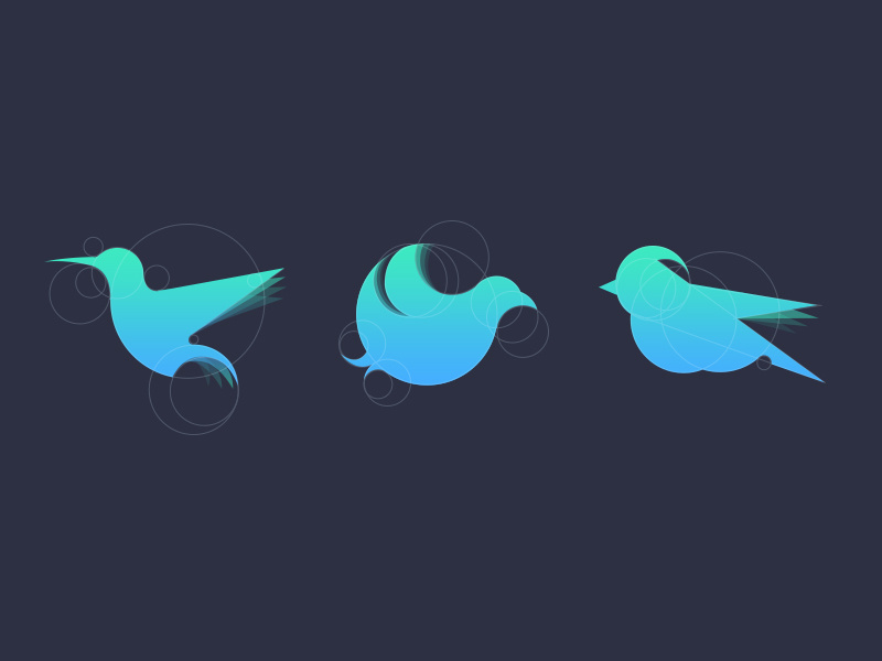 Birds by Davide Pacilio on Dribbble