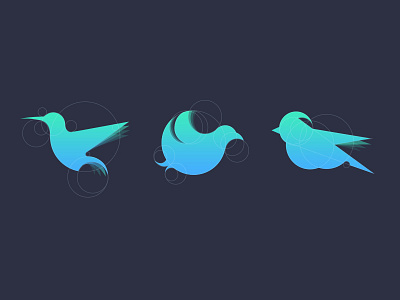 Birds birds brand concept geometry golden ratio gradient hummingbird identity logo