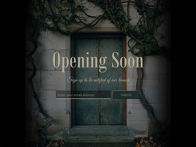 Daily UI #048: Coming Soon antique coming soon dailyui dailyui048 dark dark ui door e commerce ecommerce gothic moody opening soon romantic store opening