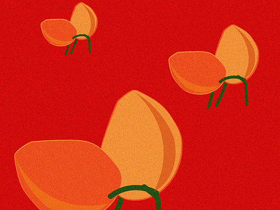 Tango-mango illustration illustration vector