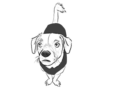 Hudson the cutie blackandwhite dog drawing greyscale illustration puppy sketch