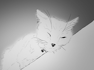 Silver in the sun blackandwhite cat drawing greyscale illustration sketch sketchbook