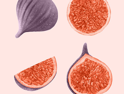 Figs 4 Ways botanicalillustration figs greetingcards illustration pink spotillustration surfacepatterndesign vintage wallart