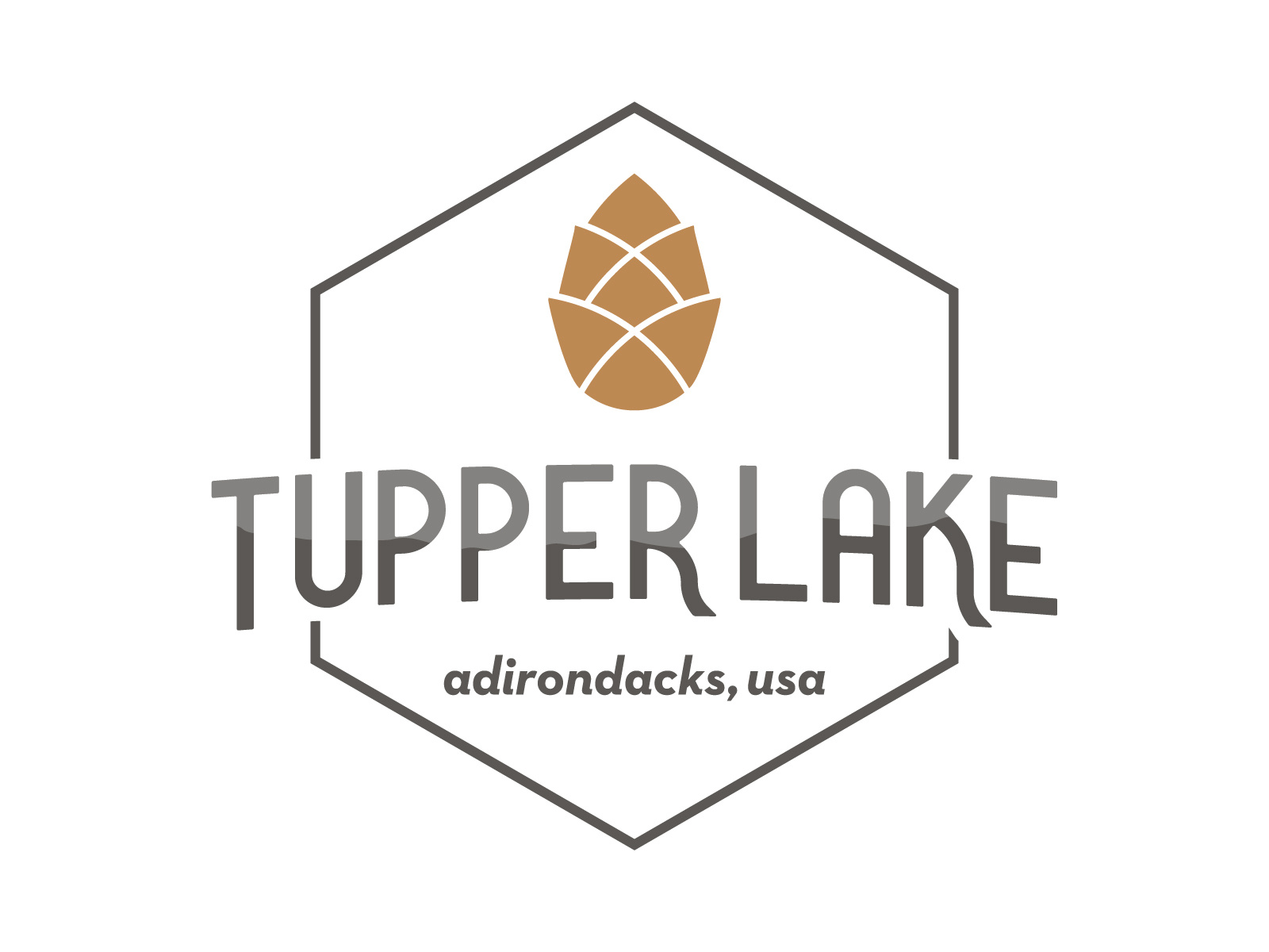 Tupper Lake Brand by Dan Cash on Dribbble