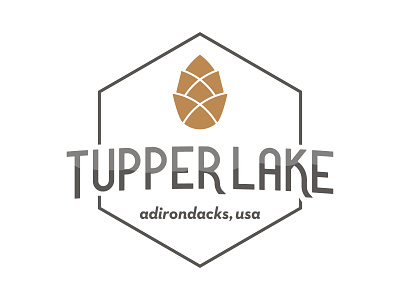 Tupper Lake Brand branding design logo typography