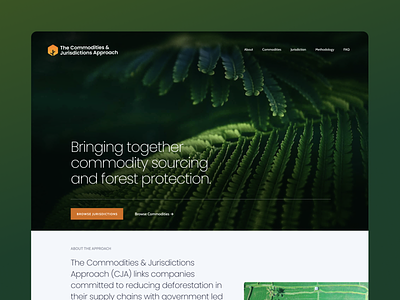 WWF Commodities & Jurisdictions Approach design ui ux website