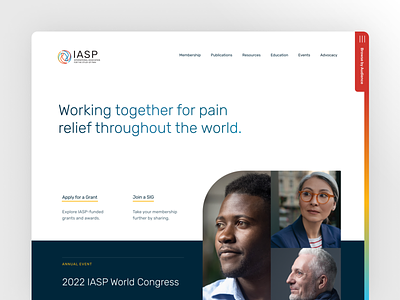 IASP (International Association for the Study of Pain) design ui ux website
