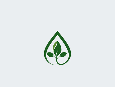 leaf app branding design home icon illustration logo