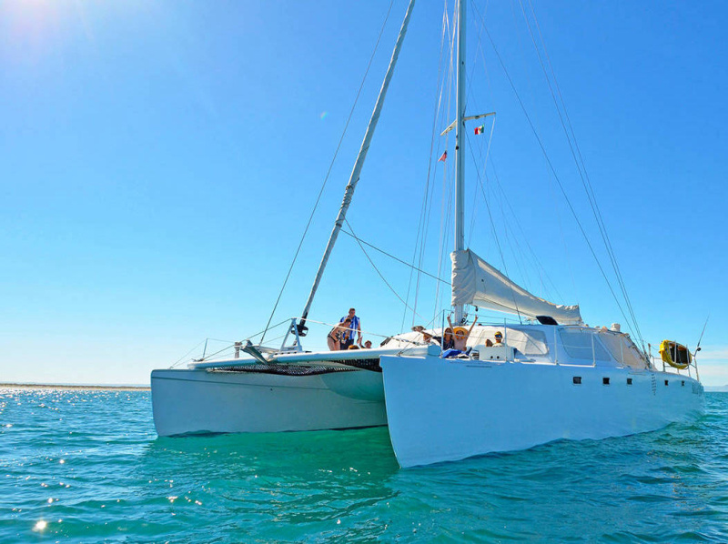 luxury private sailing catamaran In Cabo San Lucas by baja cat on Dribbble