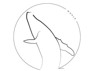 Whale Logo branding design graphic design logo typography vector