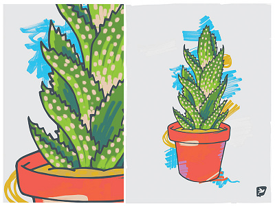 Cactus no.2 cactus design fun illustration plants