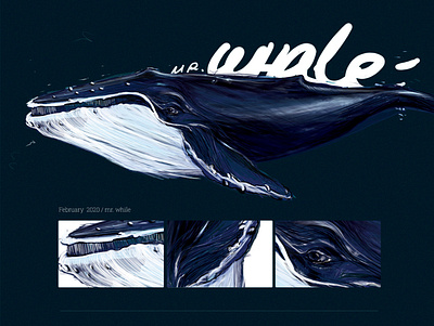 mr. whale animation design fresh colors illustraor illustration vector