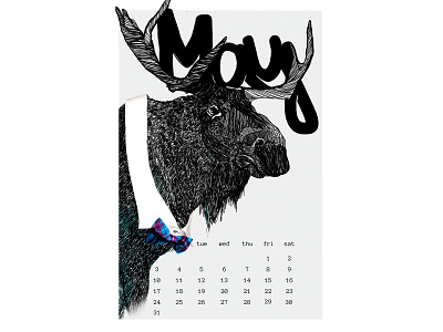 Welcome May! animals design illustraor illustration moose spring typography vector