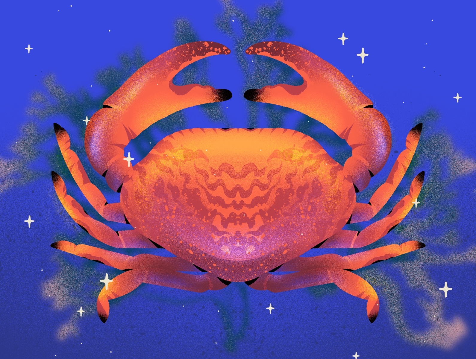 Crab! animal crab cute illustration magical ocean orange procreate red sea sea life texture water