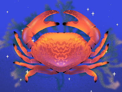 Crab! animal crab cute illustration magical ocean orange procreate red sea sea life texture water
