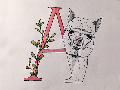 A is for Alpaca alpaca alphabet analog animal challenge drawing hand made illustration llama sketchbook watercolor