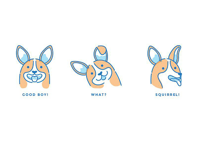 Corgi moods boy corgis cute dog dogs emotion good happy icons illustration reaction squirrel