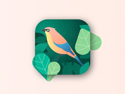 Bird Watching App Icon | Daily UI 005 005 app bird daily dailyui icon illustration interface leaves nature ui ux