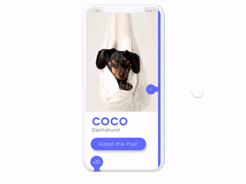 Adopt a Pup! | Profile | Daily UI 006 adoption app dachshund dailyui dog interaction interface invisionstudio madewithstudio pet ui ux