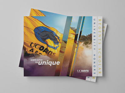 Student Admittance Brochure for UC Davis brochure design layout design print design