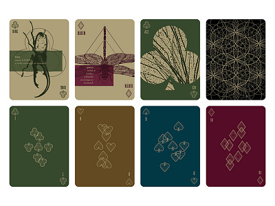 Insectum Playing Cards illustration playing cards print design