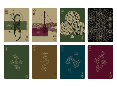Insectum Playing Cards