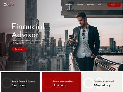 Finance and Business web template