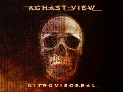 Aghast View - Nitrovisceral album art album cover album cover design design glitch skull skull art wireframe