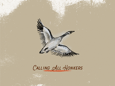 Calling All Honkers canada goose geese hunting illustration outdoors sketch waterfowl wildlife
