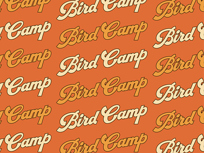 Bird Camp