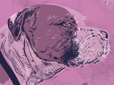 Todd : Purple dog illustration pitbull purple vector