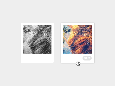 Instragram Feed polaroid photo instagram feed html css javascript
