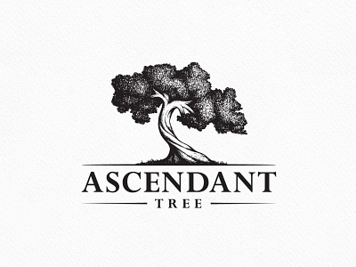 Ascendant Tree Logo beauty brand branding graphic design hand drawing health life logo natural nature pine tree wellness