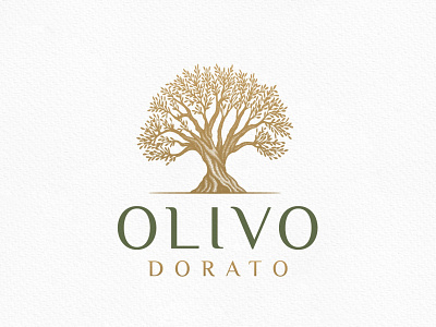 Olive Tree Logo agriculture brand branding design farm hand drawing logo natural nature olive olivetree organic tree vector