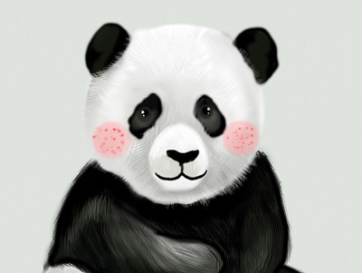 panda design digitaldraw illustration photoshop procreate